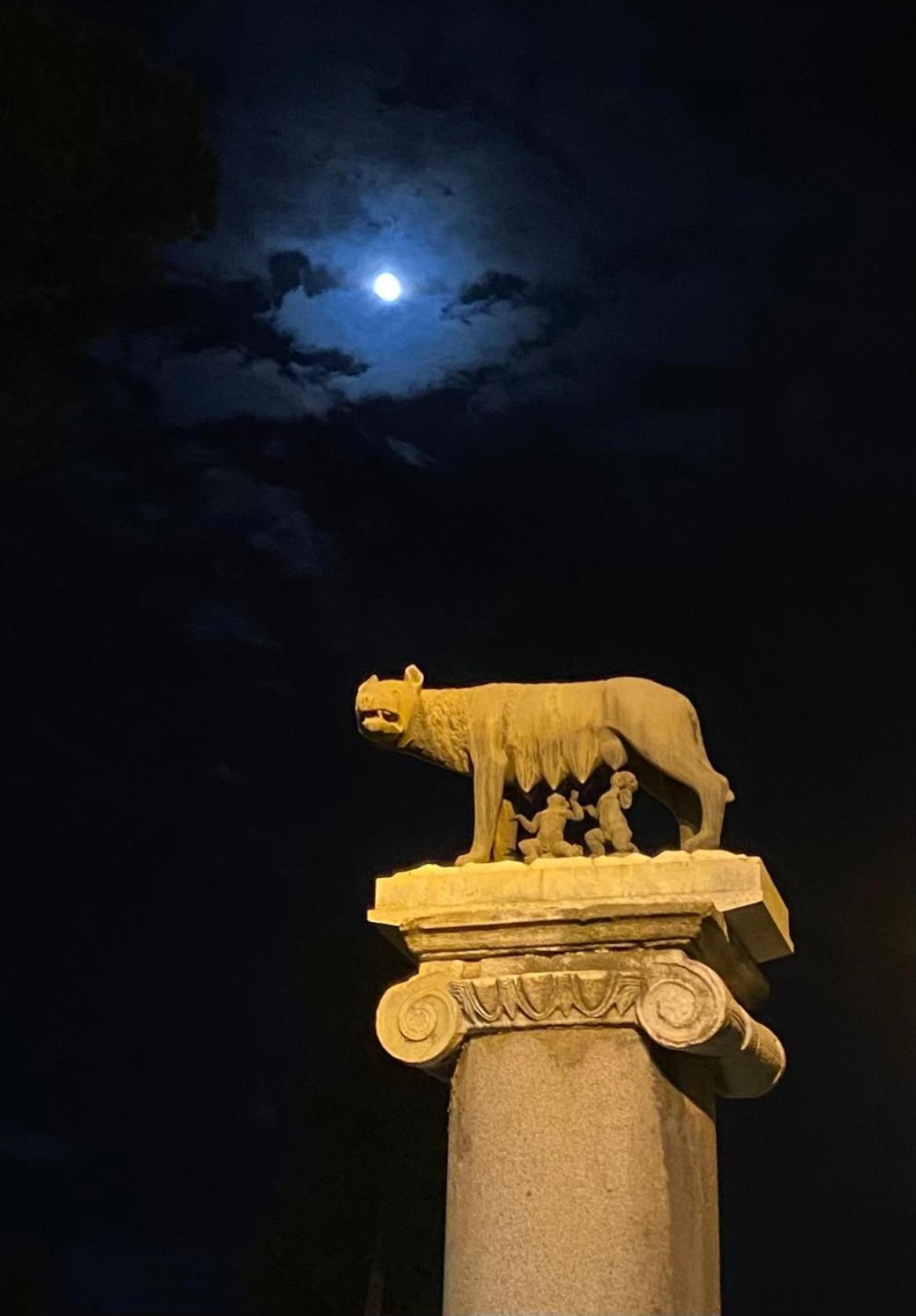 Domus Art Suites Merulana Ρώμη Εξωτερικό φωτογραφία